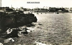 Port aux poules 105